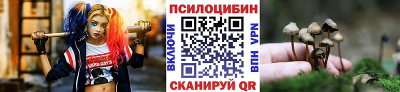 что такое   Партизанск  Псилоцибиновые грибы ЛСД 